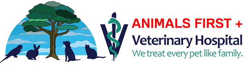 Animals First + Veterinary Hospital, Urgent Care & Wellness Center