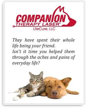 Companion Therapy Laser