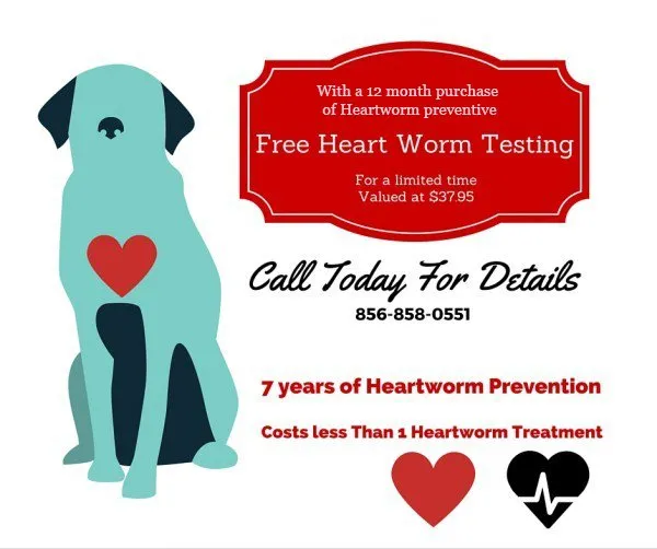Free heart worm testing, call today for details 856-058-0551