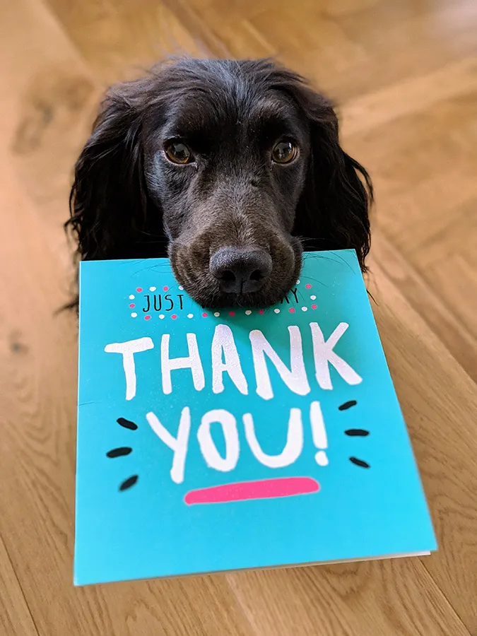 Dog holding a thank you card in its mouth.